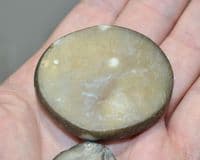 An excellent & scarce pair of Neolithic 