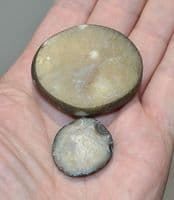 An excellent & scarce pair of Neolithic 