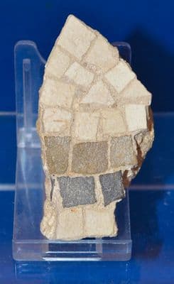 An excellent segment of high quality Roman mosaic paving from Tunisia, North Africa. SOLD