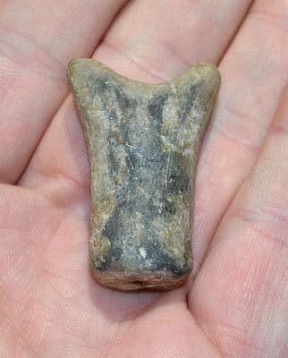 An extremely rare Early Neolithic 