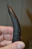 An extremely rare Late Neolithic-Early Bronze Age Antler Pressure flaker, Swiss Lake Villages.  SOLD