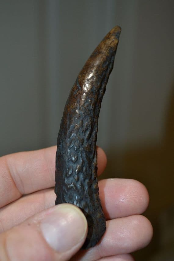 An extremely rare Late Neolithic-Early Bronze Age Antler Pressure flaker, Swiss Lake Villages.  SOLD