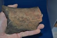 An impressive decorated rim section from a large Late Iron Age storage jar, found Brantham, Suffolk. SOLD