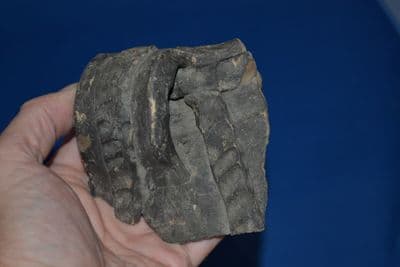 An ornate rim and strap handle segment from a large Medieval pot, Wherstead, Suffolk. SOLD