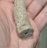 An unfinished Anglo Saxon Deer antler knife handle, Saxon workshop site, Ipswich, Suffolk. SOLD