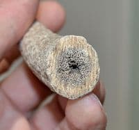 An unfinished Anglo Saxon Deer antler knife handle, Saxon workshop site, Ipswich, Suffolk. SOLD