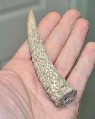 An unfinished Anglo Saxon Deer antler knife handle, Saxon workshop site, Ipswich, Suffolk. SOLD