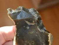 An unusual Lower Palaeolithic 