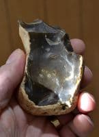 An unusual Lower Palaeolithic 