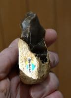 An unusual Lower Palaeolithic 