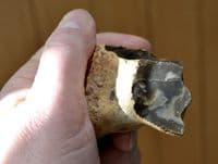 An unusual Lower Palaeolithic 