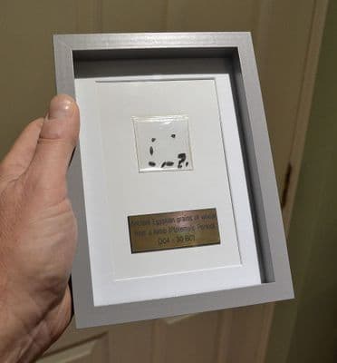 Ancient Egyptian grains of wheat from a Ptolemaic tomb, nicely framed, Old collection (K21) SOLD