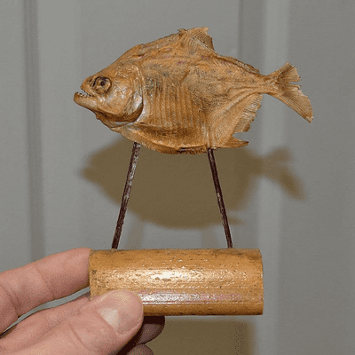 Miscellaneous Items & Curios