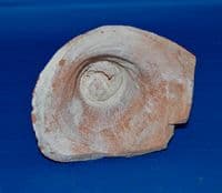 The base of a large Roman red ware pottery Amphora from Tunisia, North Africa. SOLD