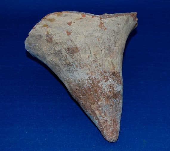 The base of a large Roman red ware pottery Amphora from Tunisia, North Africa. SOLD
