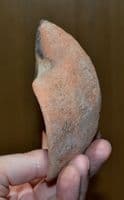 The Holylands:  A large and pleasant Old Testament Period Terracotta 