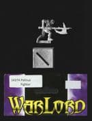 Reaper Miniatures 25mm/28mm Fantasy 14374 Palinus, Fighter