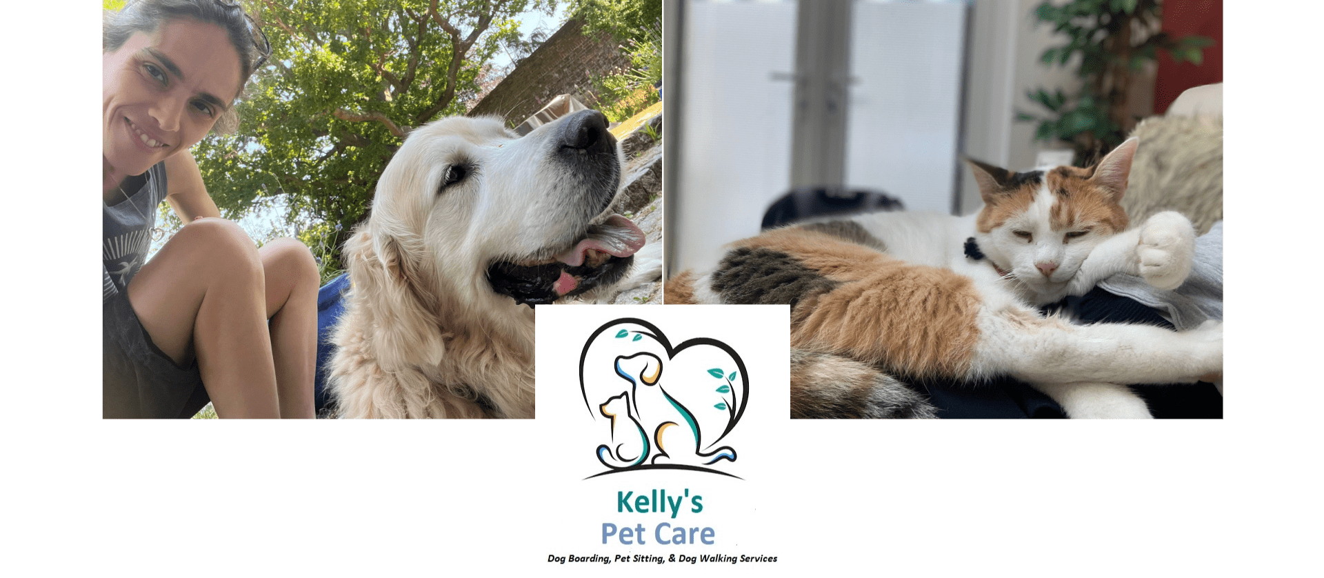 Cheap dog best sale sitters near me