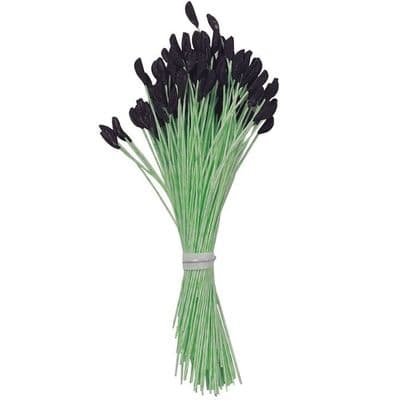 Black Tip Lily Stamen Pack of 144