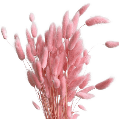 Dried Bunny Tails Pink - Pack of 3