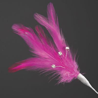 Fuschia Feather Spray with Diamantes