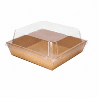 Kraft Brown Charcuterie & Cake Slice Boxes with Clear Lids Pack of 5
