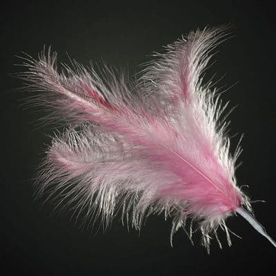Pink Feather Spray - Bulk Pack of 36
