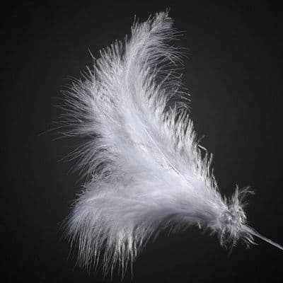 White Feather Spray