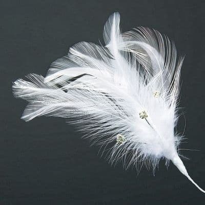 White Feather Spray with diamantes