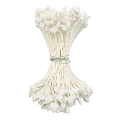 White long Pointed Dull Stamen