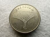 Gibraltar, One Pound 2015 (Dragon Tree), VF, CS11441