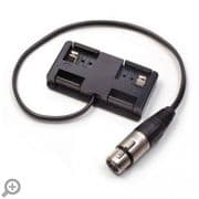 Adaptador XLR-4 F a PAGlok (450mm)