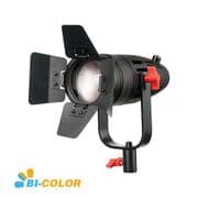 CAME-TV B-30S Boltzen 30w Fresnel Fanless Focusable LED Bi-Color 1,2 o 3 puntos de Luz