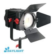 CAME-TV F-150W Boltzen Fresnel Focusable LED Daylight 1,2 o 3 unidades
