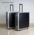 CAME TV - GRUA -jibs ACCORDION , 4,7 metros de longitud y carga de 15kg