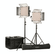 IKAN KIT CON 2 o 3 X IB1000 LIGHTS, YOKES, y GOLD MOUNTING PLATES