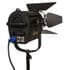 IKAN WS-F100 fresnel LED  White Star 4