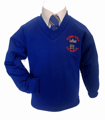 Down Hall V-Neck Sweatshirt - Royal