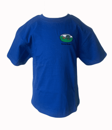 Downham P.E. T-Shirt - Royal