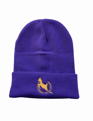 Grove Wood Ski Hat - PURPLE