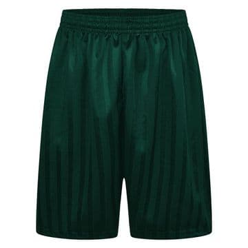 Shadow Stripe Shorts - GREEN