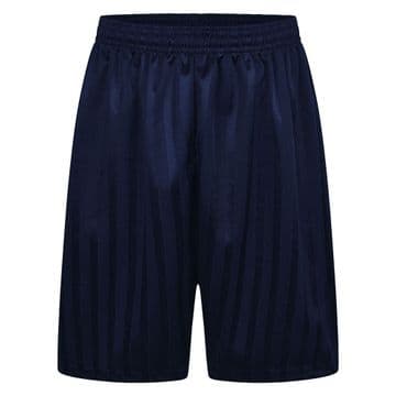Shadow Stripe Shorts - NAVY