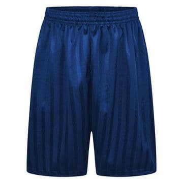 Shadow Stripe Shorts - ROYAL