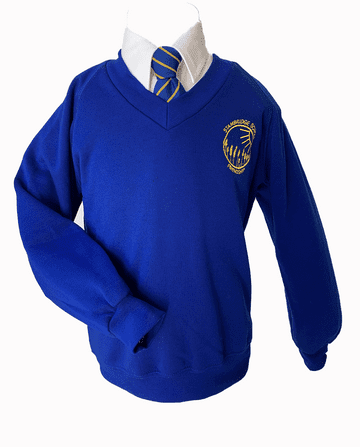 Stambridge V-Neck Sweatshirt - Royal