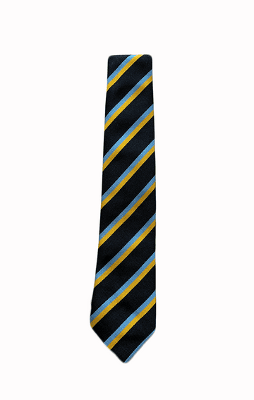 Sweyne Park Tie - Years 7-11
