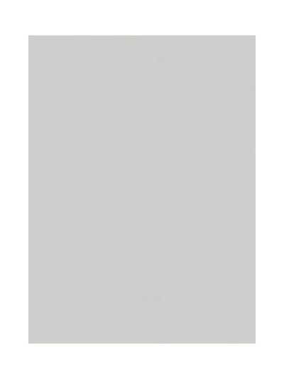 450x597mm True Handleless Gloss Dove Grey Door
