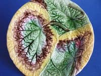 (Sold) Victorian Majolica Begonia Leaf Plate c1880 #3