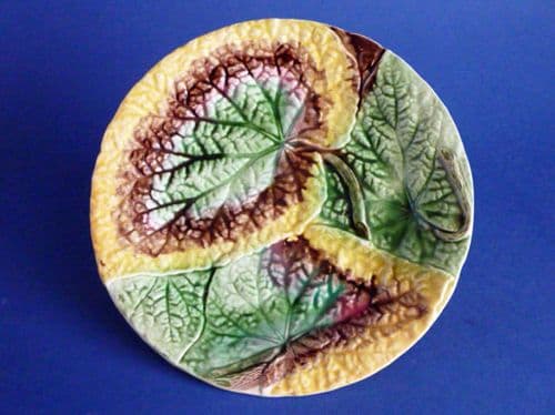 (Sold) Victorian Majolica Begonia Leaf Plate c1880 #3