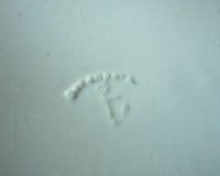 Fine Davenport 'Chinoiserie Ruins' Pearlware Meat Platter c1810 (Sold)