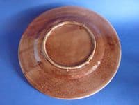 Fine Victorian Majolica Fern and Flower Plate c1880